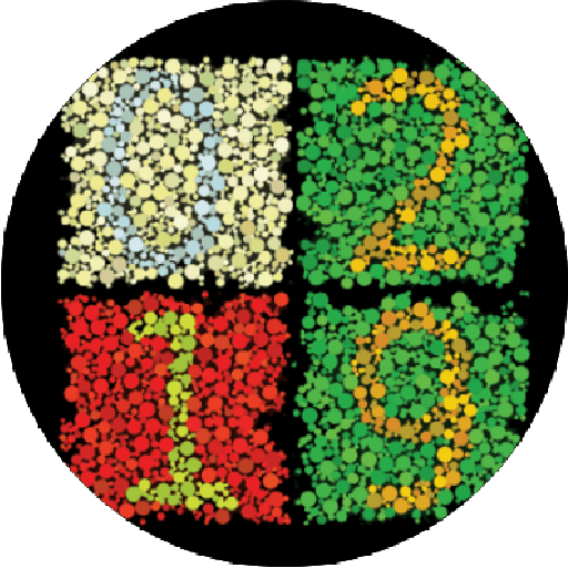 Anti Color Blind Watch Face icon