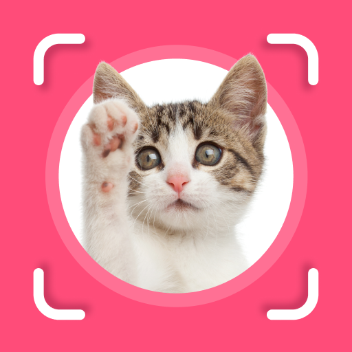 Cat Identifier: Cat Scanner icon