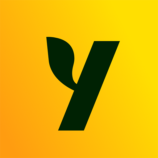 Asian Dating, Friendship: Yuzu icon