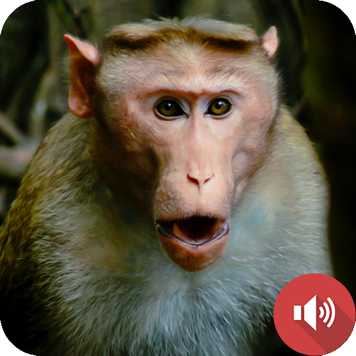 Monkey Sounds icon