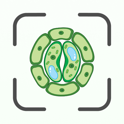 Biology AI: Homework Helper icon