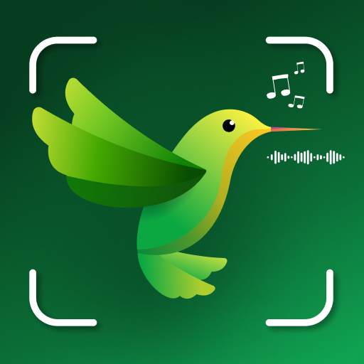 ID Bird: Bird Call Identifier icon