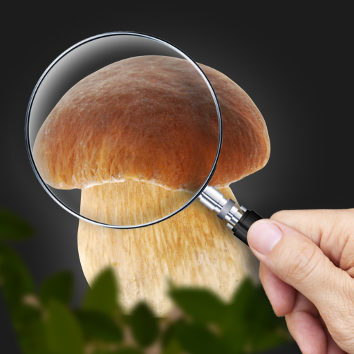 Mushroom Identifier: AI ID icon