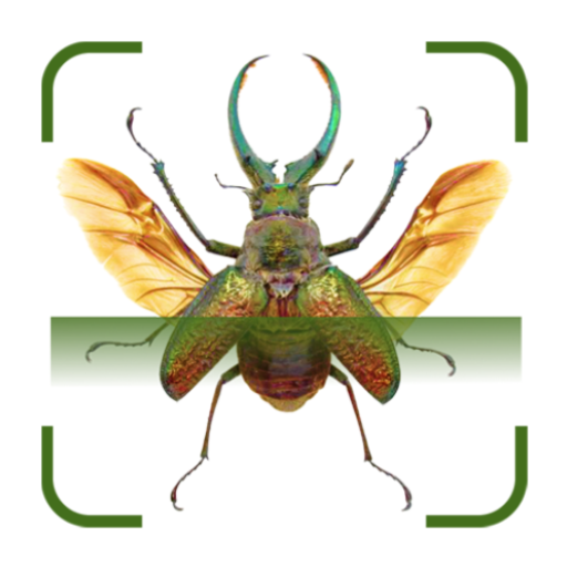 Bug Identifier - Insect Finder icon