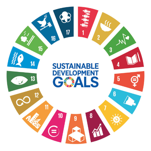 SDG icon