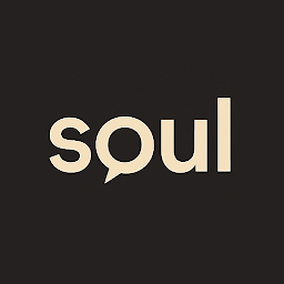 DigitalSoul - AI Chat Roleplay icon