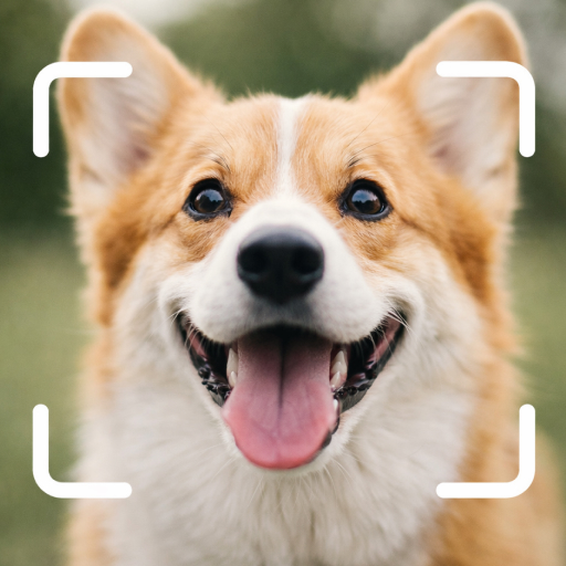 Dog Breed Scanner Dog Breed ID icon