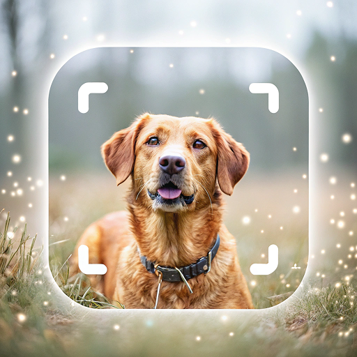 Dog Breed Identifier With AI icon