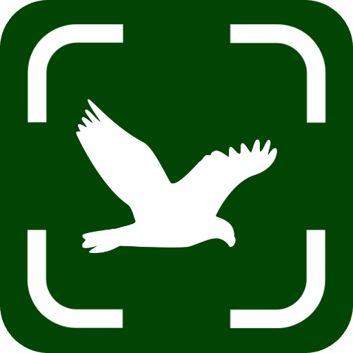 Bird Identifier AI icon
