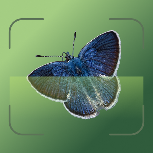 Insecto AI: Bug Identifier icon