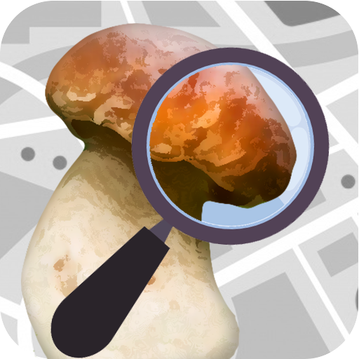 Mushroom Identify - Automatic icon