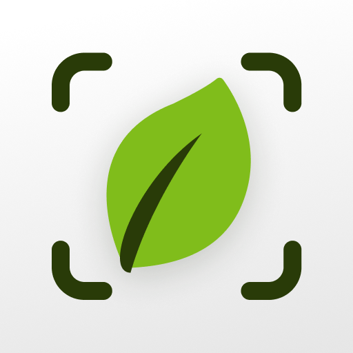 Plant Identifier & Care: Ficus icon