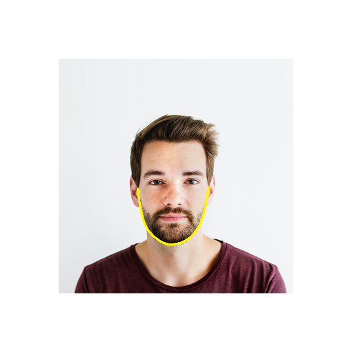 Face Reading DIY icon